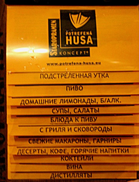 213-Подстреленный Гусь